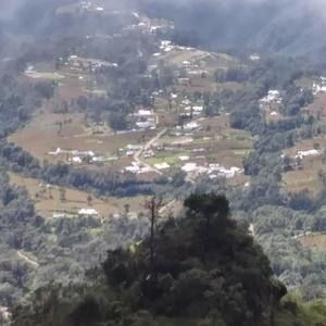 Meet your Posher, Juna